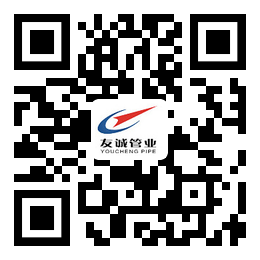 ���\(ch��ng)�֙C(j��)վ