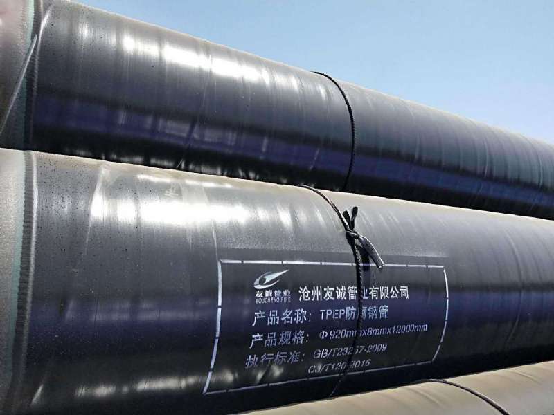 �ӏ���TPEP����������